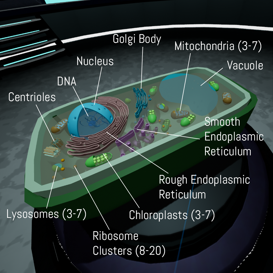 Plant Cell Help Image